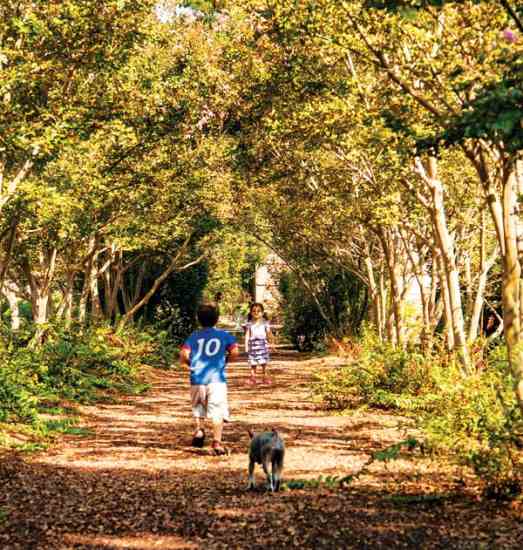Stu and Trina's neighbors are two young twins who love running on the trails and picking the fresh fruits that grow in the orchard.